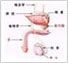 前列腺疾病